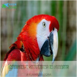 Emergency Situations in Parrots