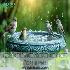 Enhancing Your Ground Bird Bath Experience