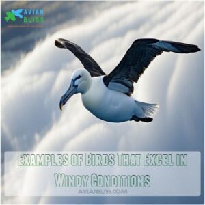 Examples of Birds That Excel in Windy Conditions