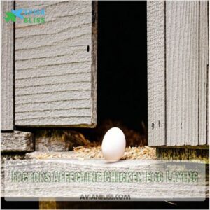 Factors Affecting Chicken Egg Laying