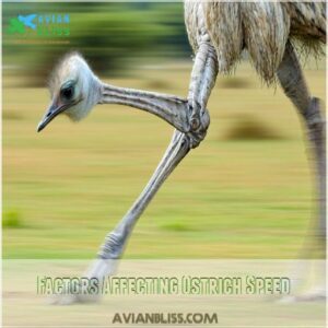 Factors Affecting Ostrich Speed