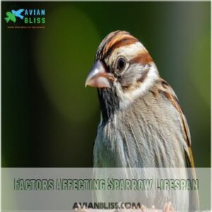 Factors Affecting Sparrow Lifespan