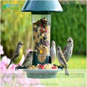 Factors Influencing Bird Eating Habits