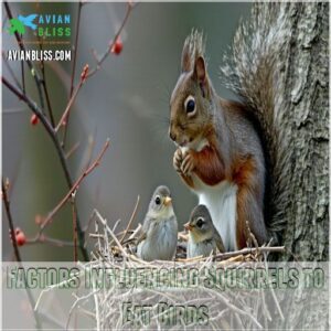 Factors Influencing Squirrels to Eat Birds