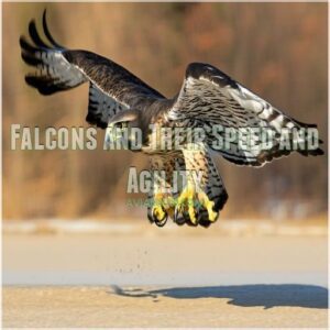 Falcons and Their Speed and Agility