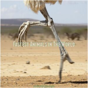 Fastest Animals in The World