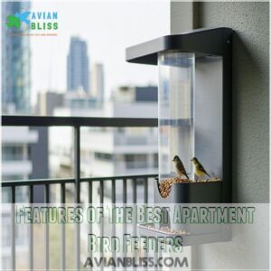 Features of The Best Apartment Bird Feeders