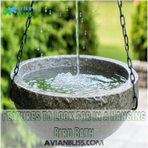 Features to Look for in a Hanging Bird Bath