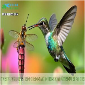 Female Hummingbirds and Insect Consumption