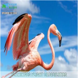 Flamingos Flight Capabilities