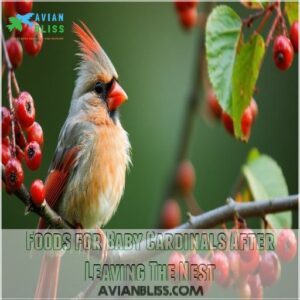 Foods for Baby Cardinals After Leaving The Nest