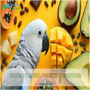 Foods to Avoid Feeding Cockatoos