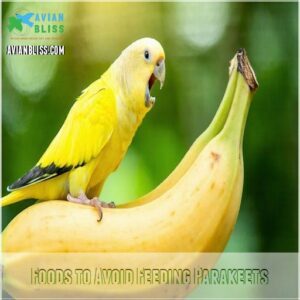 Foods to Avoid Feeding Parakeets