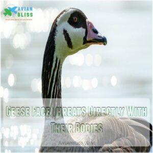 Geese Face Threats Directly With Their Bodies