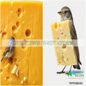 Hard Cheeses Vs Soft Cheeses