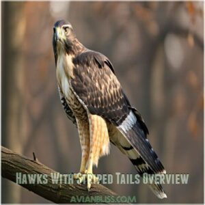 Hawks With Striped Tails Overview