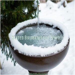 Heated Birdbaths for Winter