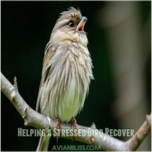 Helping a Stressed Bird Recover