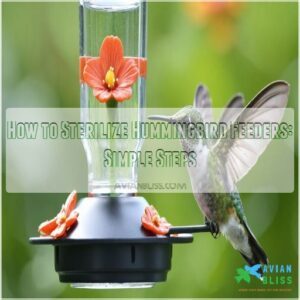 how to sterilize hummingbird feeders