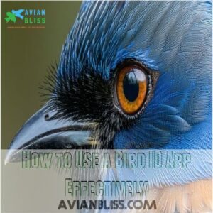 How to Use a Bird ID App Effectively