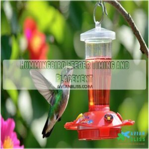 Hummingbird Feeder Timing and Placement