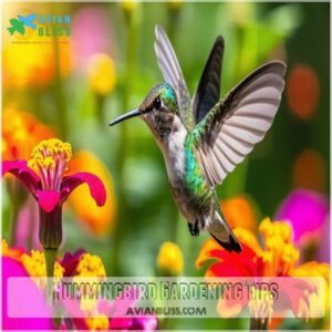 Hummingbird Gardening Tips