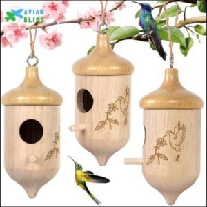 Hummingbird House,Wooden Hummingbird Houses for