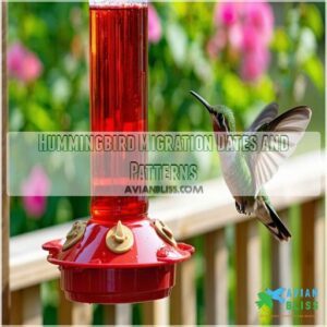 Hummingbird Migration Dates and Patterns