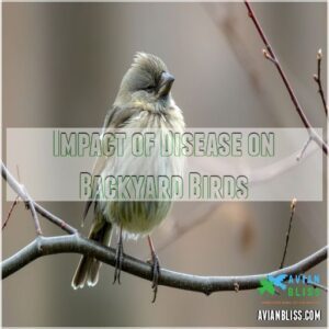 Impact of Disease on Backyard Birds