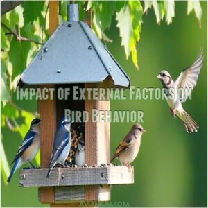 Impact of External Factors on Bird Behavior