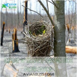 Impact of Habitat Loss on Bird Populations