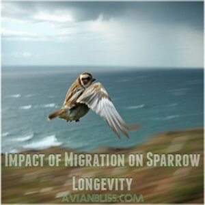 Impact of Migration on Sparrow Longevity