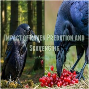 Impact of Raven Predation and Scavenging