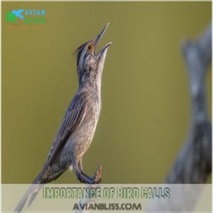 Importance of Bird Calls