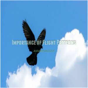 Importance of Flight Patterns