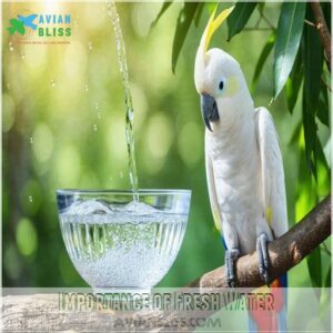 Importance of Fresh Water