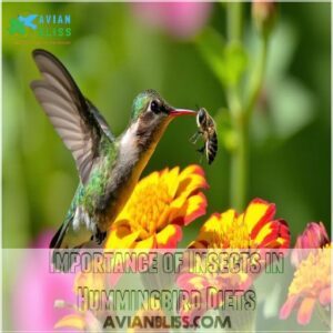 Importance of Insects in Hummingbird Diets