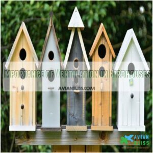 Importance of Ventilation in Birdhouses