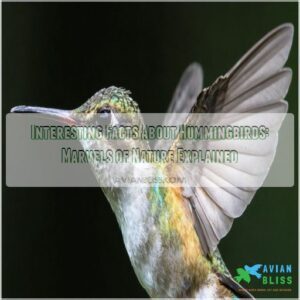 interesting facts about hummingbirds