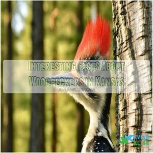 Interesting Facts About Woodpeckers in Kansas