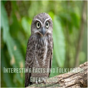 Interesting Facts and Folklore of Great Potoo