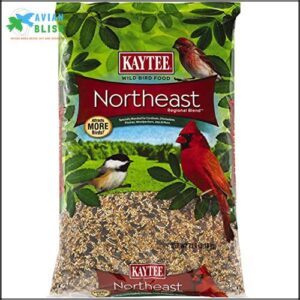 Kaytee Northeast Regional Wild Bird