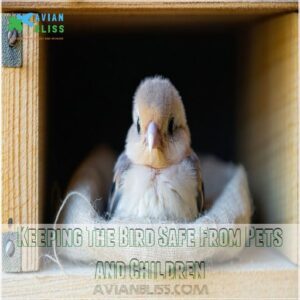 Keeping The Bird Safe From Pets and Children