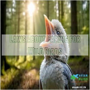 Laws About Caring for Wild Birds