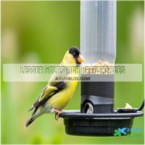 Lesser Goldfinch Preferences