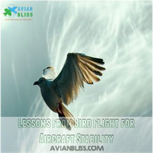 Lessons From Bird Flight for Aircraft Stability