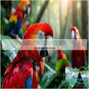 Macaws and Parrots