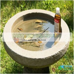 Maintaining Your Bird Bath