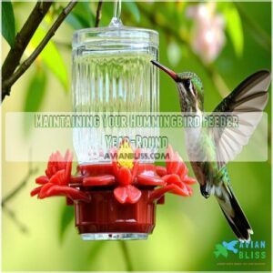 Maintaining Your Hummingbird Feeder Year-Round