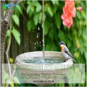 Maintenance and Care for Hanging Bird Baths